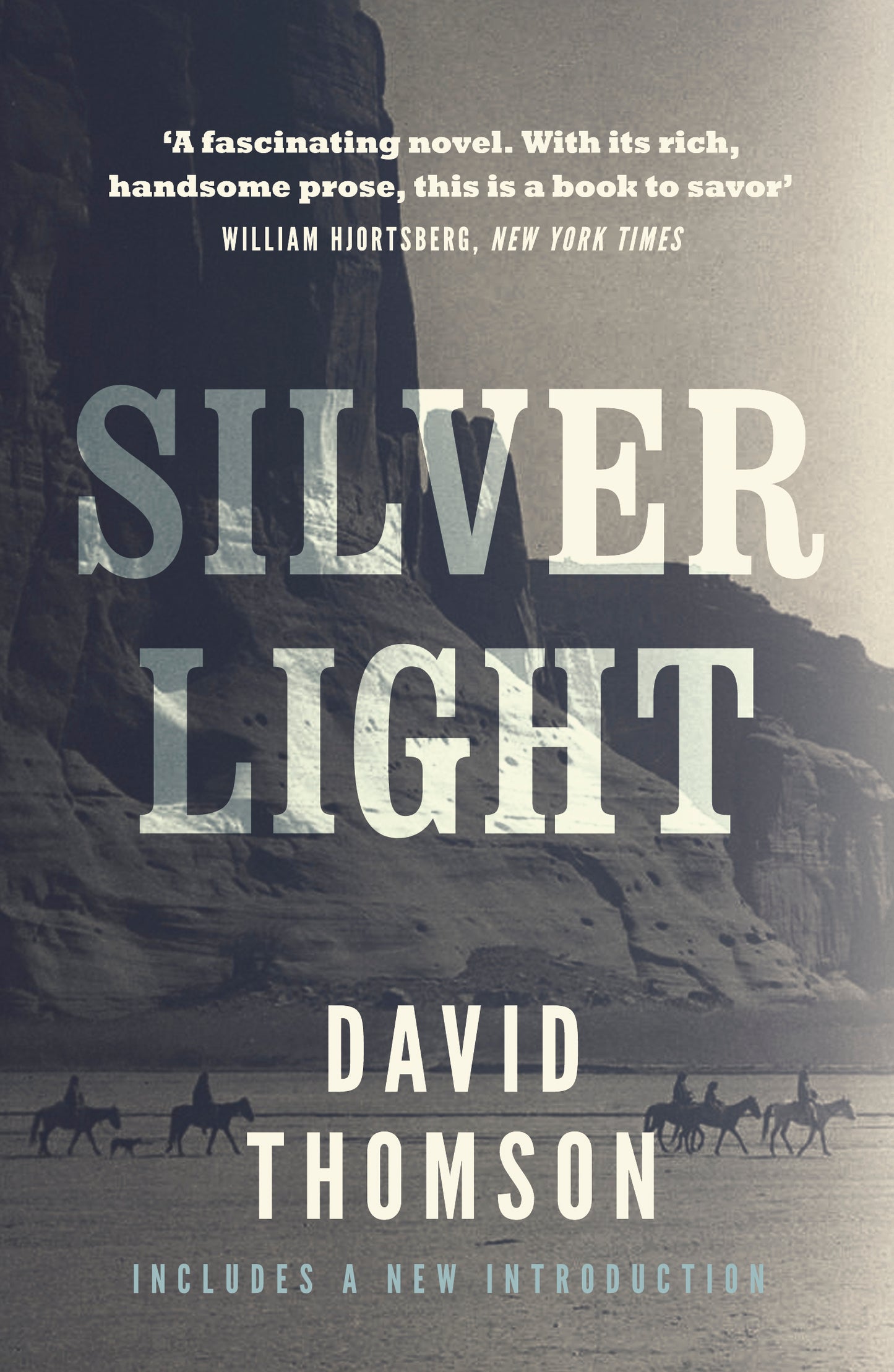 Silver Light Cover Image