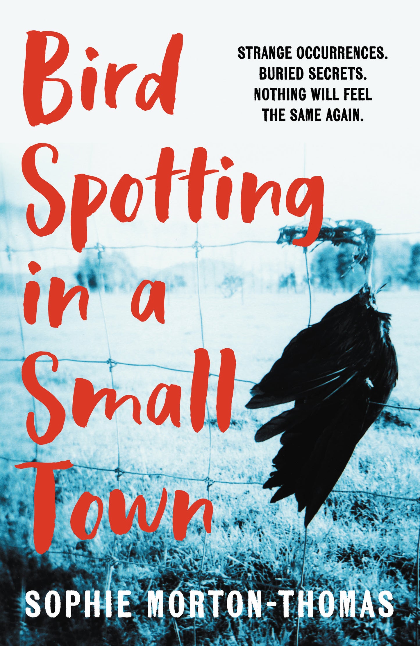 Bird Spotting in a Small Town Cover Image