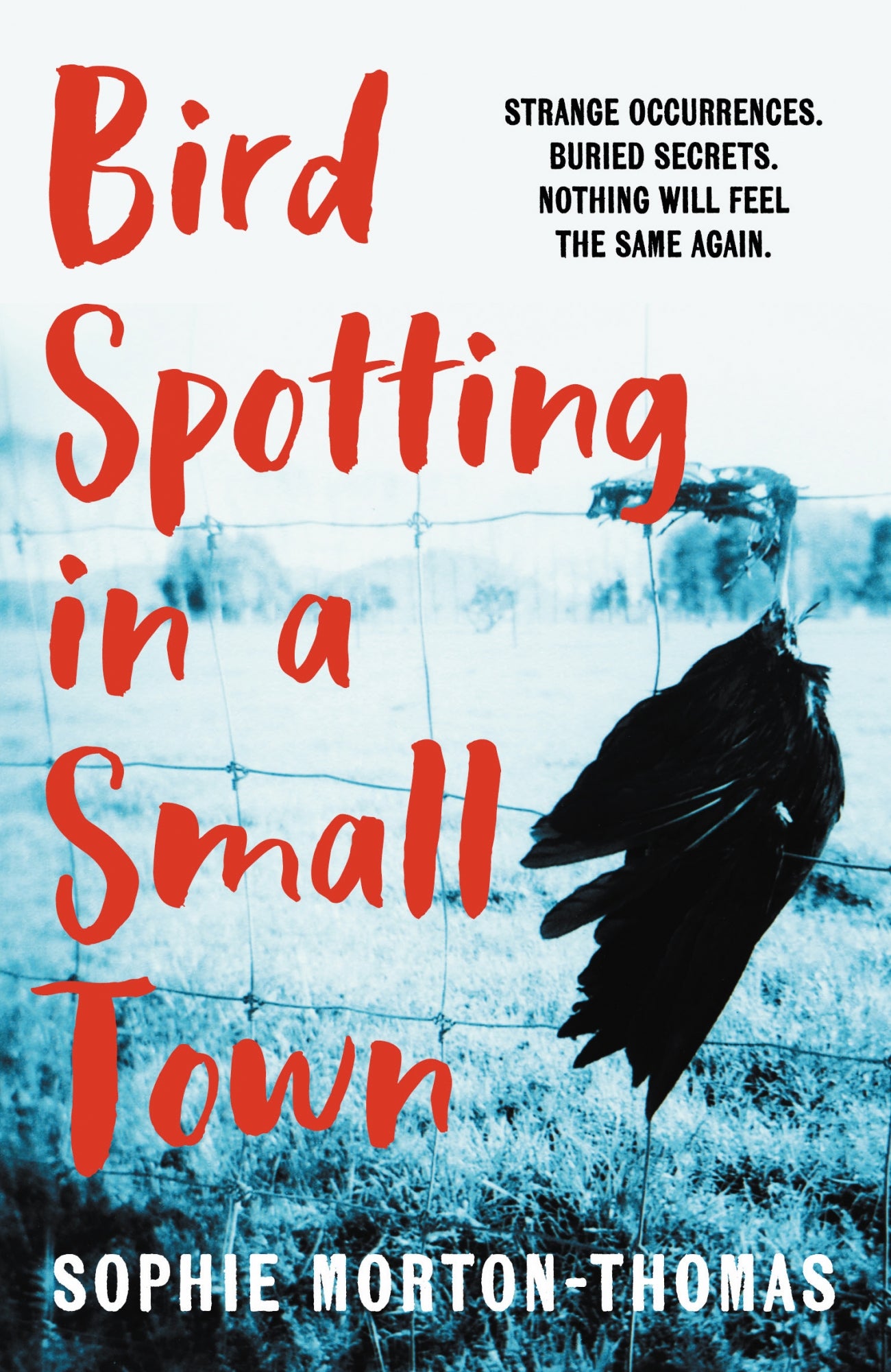 Bird Spotting in a Small Town Cover Image