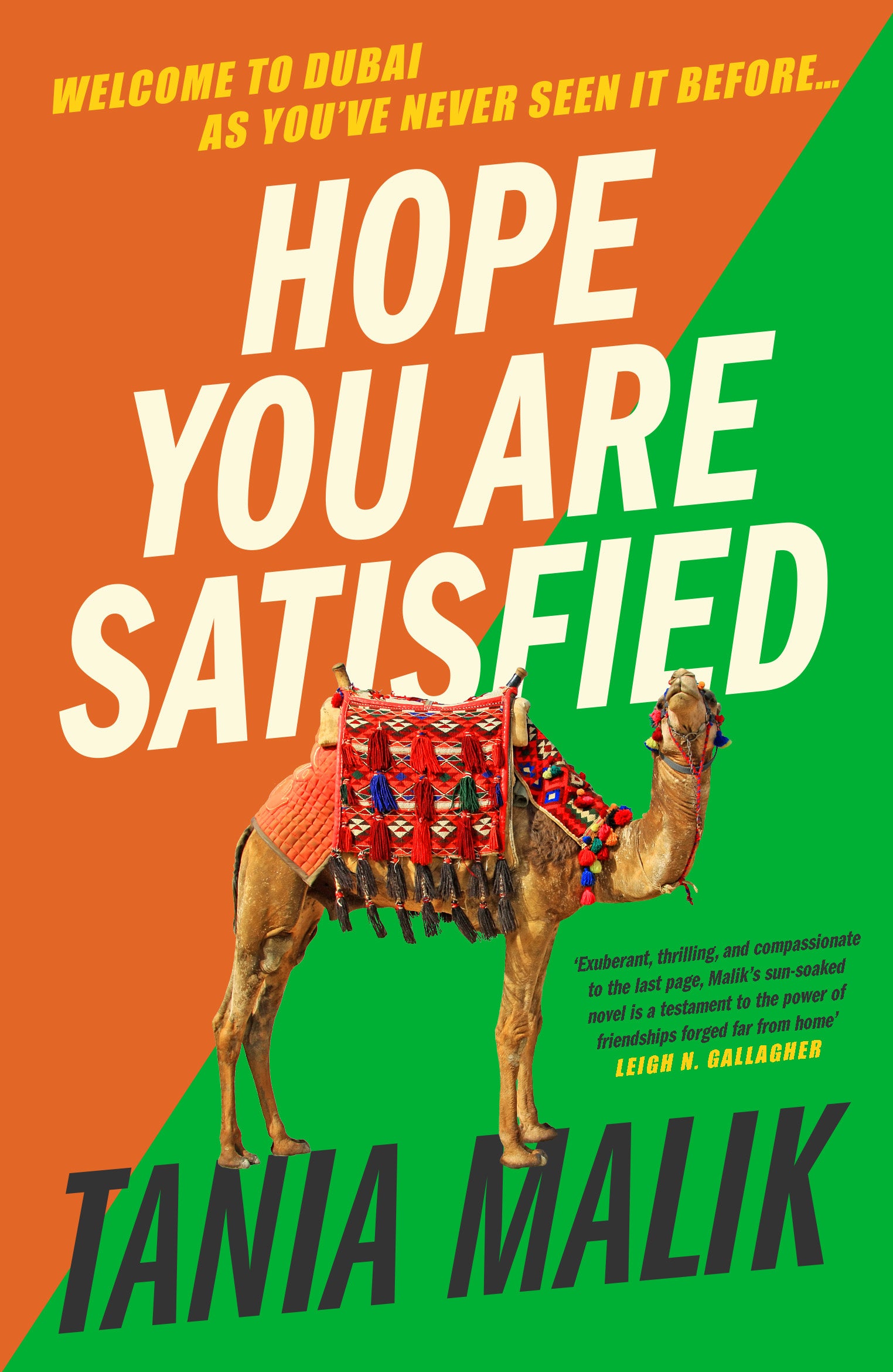 Hope You Are Satisfied Cover Image