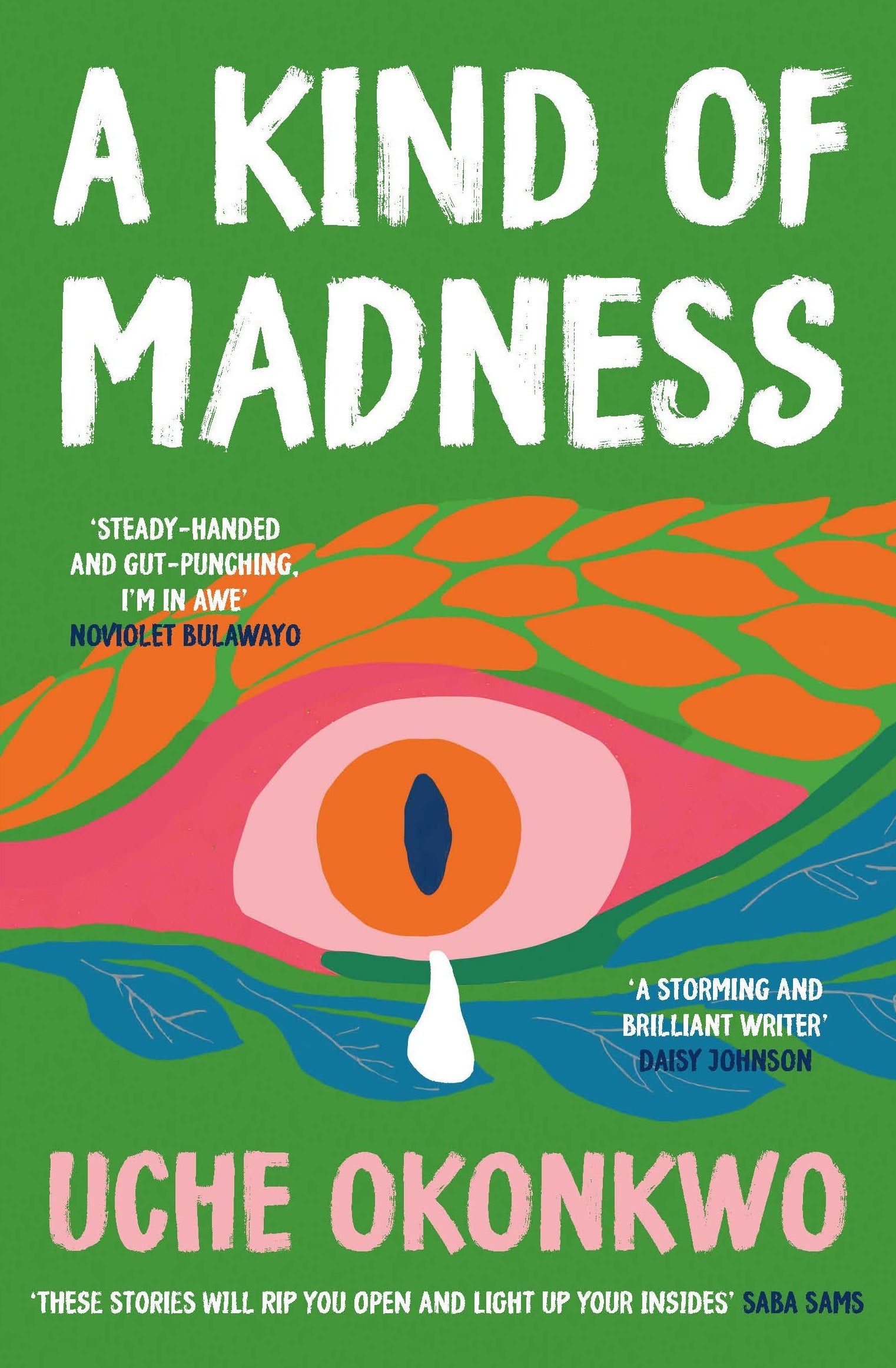 A Kind of Madness Cover Image