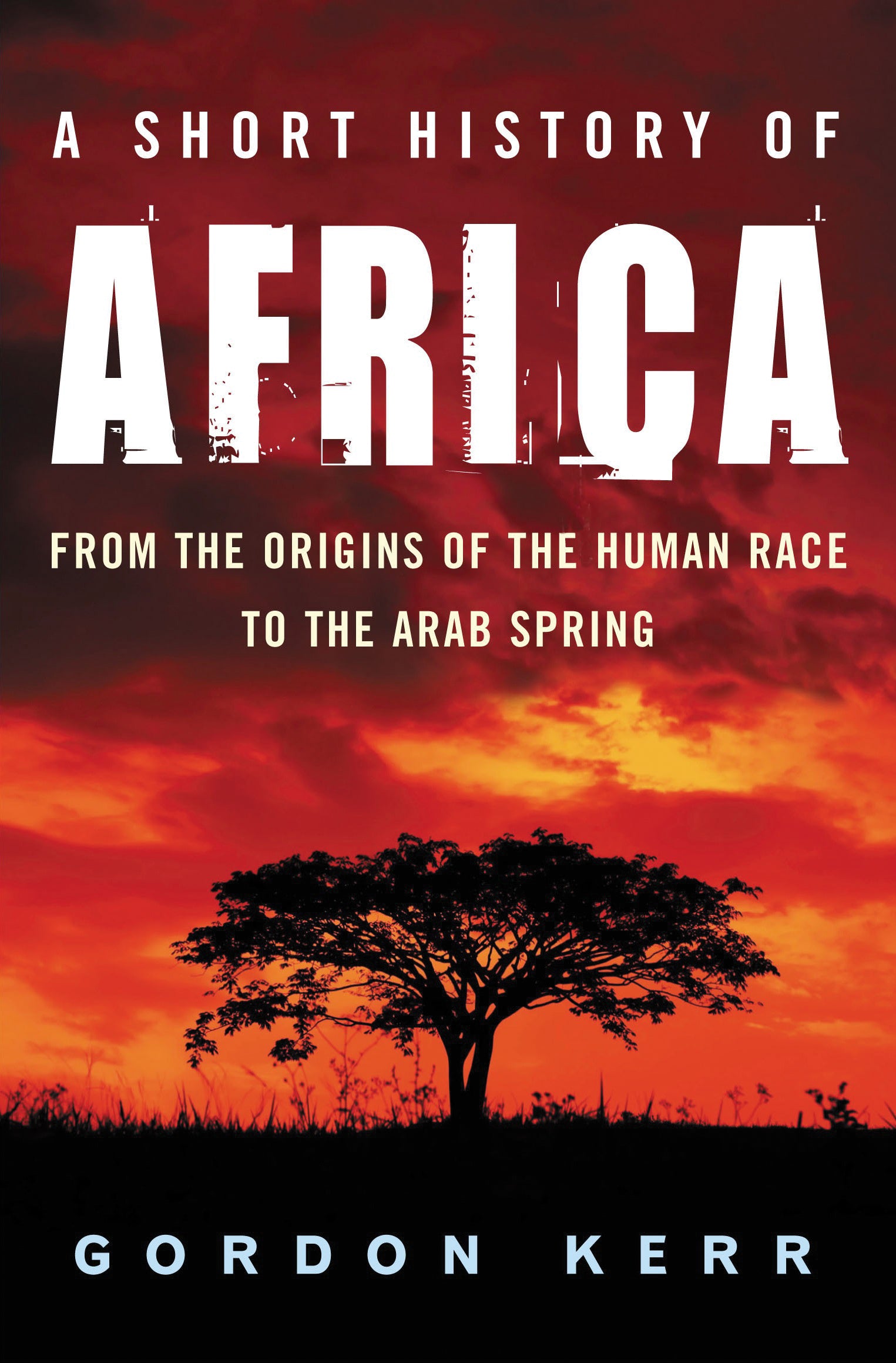 A Short History of Africa Cover Image